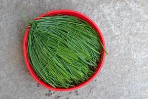 frischer Schnittlauch. gehackter Schnittlauch in roter Schüssel. frisches grünes essbares kraut von allium schoenoprasum. foto