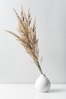 dekoratives Gras in weißer Vase foto