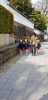 osaka, japan - 9. april 2019. einige japanische kindergartenkinder gehen auf einem bürgersteig auf einer straße in osaka foto