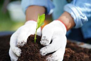 Baum wächst mit der Hand, Tag der Öko-Erde, rette die Welt, rette die Erde, werde grün foto