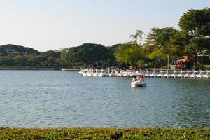 spinnbootente, die sich mit leuten anreiht spinnbootente am wasserspeichersee oder stausee im öffentlichen park suan luang rama ix. foto