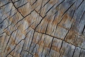 Nahaufnahme der Holzstruktur mit Naturfasern, Plattenmaterial für den Bau foto