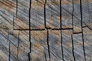 Nahaufnahme der Holzstruktur mit Naturfasern, Plattenmaterial für den Bau foto