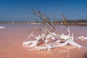 schöne landschaft eines rosa salzsees foto