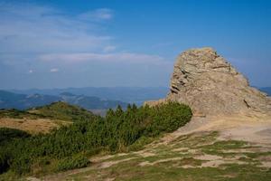 schöne landschaft berge karpaten in der ukraine foto