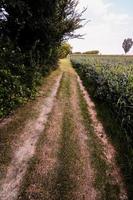 Blick auf die Landstraße foto