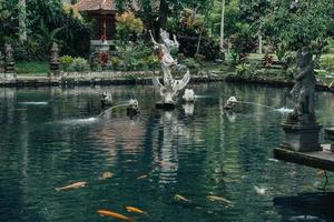 Koi-Fische im balinesischen Teich foto