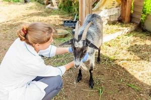 junge tierärztin mit stethoskop, die ziege auf ranchhintergrund hält und untersucht. junge ziege mit tierarzthänden zur untersuchung in einer natürlichen ökofarm. Tierpflege und ökologisches Landwirtschaftskonzept. foto