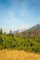 sonniger tag des hohen tatra-bergherbstes, entspannende landschaft, alpenblick. natürliche Aussicht während des Sommertrekkings im Hochland mit Blick auf Gipfel und felsige Hügel. Nationalpark in Polen. foto