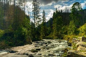 Hochgebirgswildfluss im Nationalparkwald, friedliche Herbstlandschaft foto