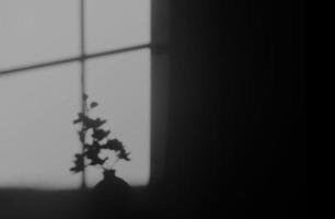 Zementwandtexturhintergrund mit Blätterschatten, leerer Studiobetonwandraum mit Fensterlicht und Schatten, schwarz-weißer Hintergrundhintergrund mit Überlagerung und Kopierraum für Textpräsentation foto