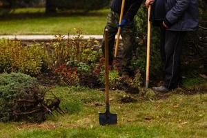 mann pflanzt einen baum hände mit schaufel gräbt das bodennaturumwelt- und ökologiekonzept foto