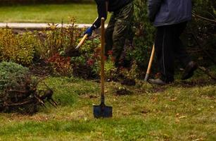 mann pflanzt einen baum hände mit schaufel gräbt das bodennaturumwelt- und ökologiekonzept foto