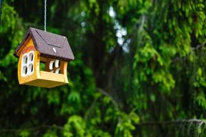 aus Garnen gestricktes Vogelhaus, das im Park hängt foto