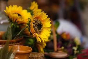 Strauß Sonnenblumen im alten Tonkrug. im Vordergrund Zweige mit reifen Kirschpflaumen foto