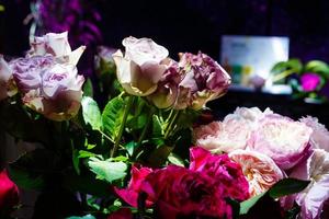 schöner Blumenstrauß aus rosa Rosenblüten auf dunklem Hintergrund, foto