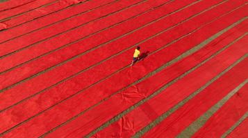 Rotes Tuch trocknet in Narsingdi, Bangladesch foto