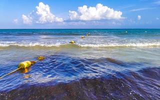 tropischer karibischer strand klares türkisfarbenes wasser playa del carmen mexiko. foto