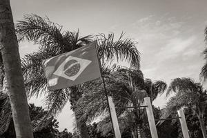 brasilianische Flagge mit Palmen und blauem Himmelshintergrund Brasilien. foto