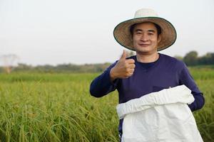 gutaussehender asiatischer Bauer ist auf einem Reisfeld, trägt Hut, hält weißen Sack mit organischem Dünger, Daumen hoch, selbstbewusst. Konzept, Landwirt zufrieden mit Produkten für die Landwirtschaft. foto