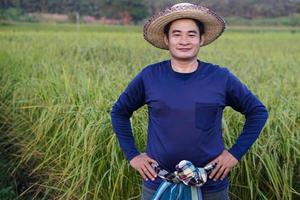 porträt eines asiatischen bauern trägt einen hut, ein blaues hemd, legt die hände auf die hüften und steht auf einem reisfeld. fühlt sich zuversichtlich. konzept, landwirtschaftsberuf. Thailändische Bauern bauen Bio-Reis an. foto