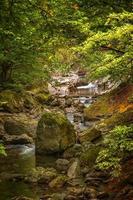 felsiger bach im wald. Fluss mit Felsen. dicht bewachsener Wald mit fließendem Naturhintergrund. foto