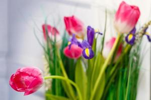 blaue Schwertlilien und Pik-Tulpen foto