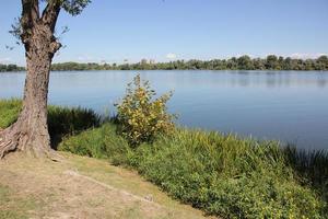 in einem park am ufer des gardasees in italien. foto