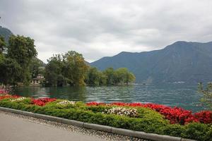 in einem park am ufer des gardasees in italien. foto