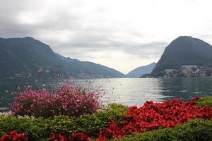 in einem park am ufer des gardasees in italien. foto