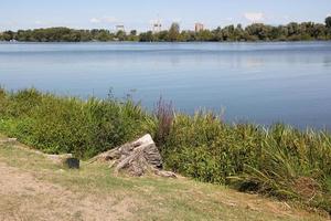 in einem park am ufer des gardasees in italien. foto