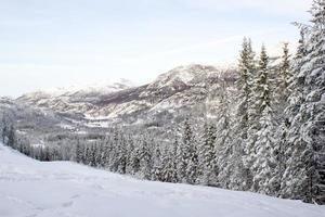 schöne norwegische Winterlandschaft von der Skipiste im Tal von Hemsedal Buskerud Norwegen, saisonale Postkarte, Tapete, Druck für Leinwand, Cover-Design foto