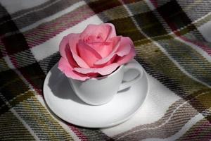 Schöne rosa Rose aus nächster Nähe in einer weißen Tasse, romantisches Stimmungsbild, Druck für Postkarte, Tapete, Coverdesign, Poster, Kalender, Wandleinwand, Wohnkultur, Muttertagsgrußkarte foto