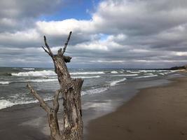 Strand Küste Himmel foto