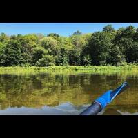 Paddel auf dem Fluss foto