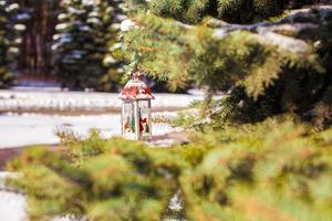 dekorative weihnachtslaterne auf tannenzweig im schnee wintertag foto