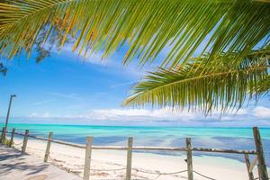 tropischer strand mit palmen und weißem sand in der karibik foto