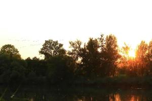 Herde von Wildgänsen Silhouette auf einem Sonnenuntergangshimmel foto