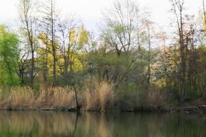 Fliegende Enten vor einer Abendlandschaft foto