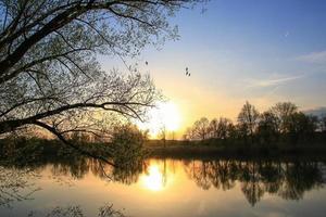 Fliegende Enten vor einer Abendlandschaft foto