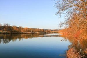 Herbstsee mit trockenem Schilf foto