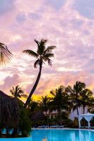 blauer, rosa und roter Sonnenuntergang über dem Meeresstrand mit Palmensilhouette foto