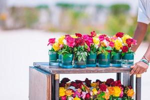 frische bunte blühende blumen in der vase im freien foto