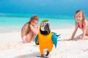 entzückende kleine Mädchen am Strand mit buntem Papagei foto