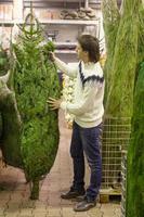 Junger Mann wählt Weihnachtsbaum auf dem Markt foto