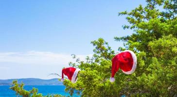 rote Weihnachtsmütze auf Zweig Hintergrund türkisfarbenes Meer foto