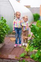 Entzückende kleine Mädchen mit dem Erntekorb in der Nähe des Gewächshauses foto