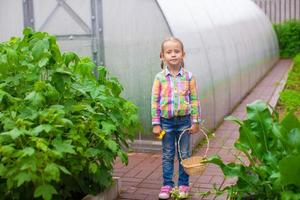 kleines entzückendes Mädchen mit dem Erntekorb in einem Gewächshaus foto