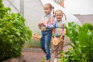 Kleine entzückende Mädchen mit dem Erntekorb in der Nähe des Gewächshauses foto