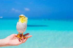 kleines gelbes osterhuhn am weißen strand foto